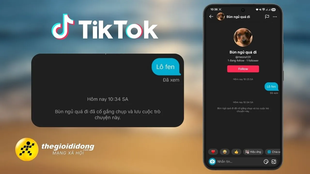 TikTok có tính năng mới giúp phát hiện người khác chụp ảnh màn hình tin nhắn, bạn đã biết cách bật chưa?
