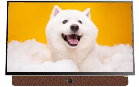 Google Tivi Xách Tay Di Động Full HD Coocaa 24 Inch 24LP6000G (Tay Cầm Da)  