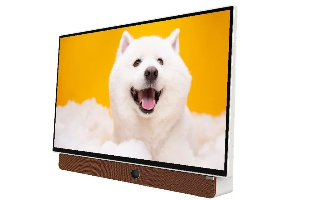 Google Tivi Xách Tay Di Động Full HD Coocaa 24 Inch 24LP6000G (Tay Cầm Da)  