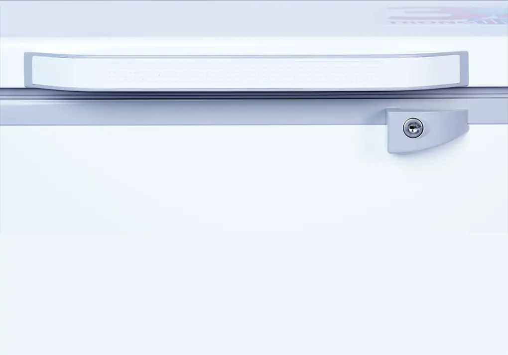 Tủ Đông Sanaky Inverter 900 Lít VH-1199HY3