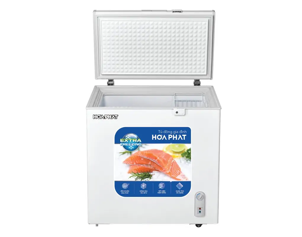 Tủ Đông Hòa Phát 162 Lít HPF AN6162