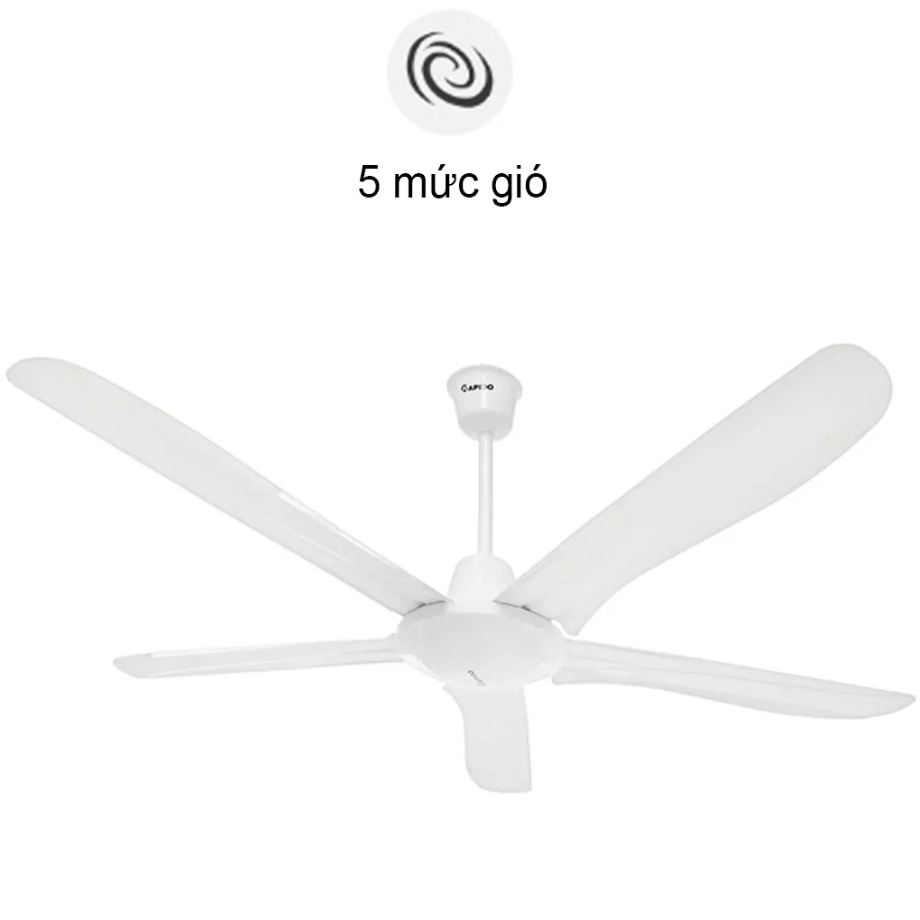 Quạt Trần Rapido RCF-5W