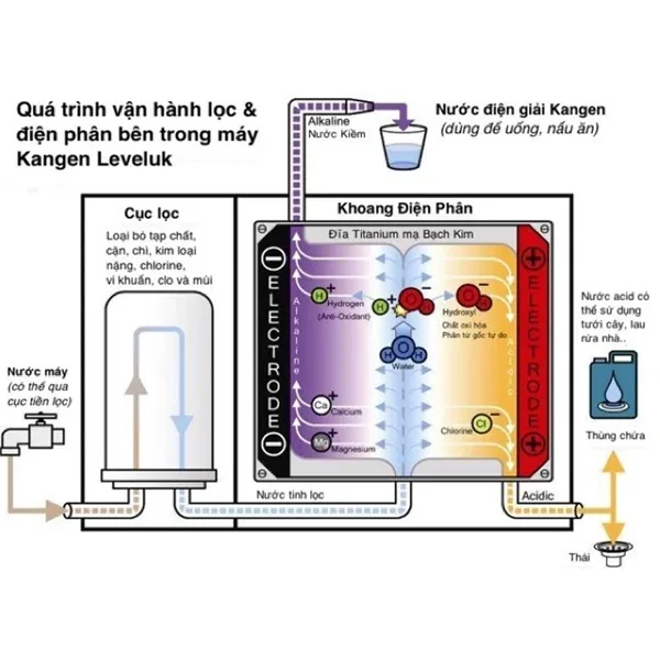 Máy lọc nước điện giải ion kiềm Kangen LeveLuk SD501