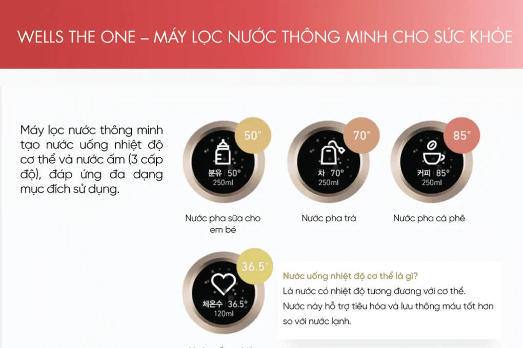 Máy Lọc Nước Nóng Lạnh Wells The One Dark Brown - Xuất Xứ Hàn Quốc