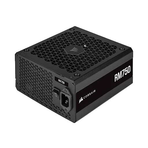 Nguồn máy tính Corsair RM750 2021 - 750W - 80 Plus Gold - Full Modular (CP-9020234-NA)