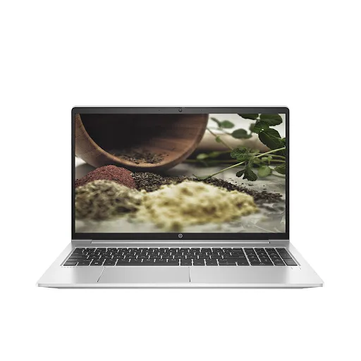 Laptop HP Probook 450 G9 (6M0Z9PA) (i7-1255U/ Onboard graphics/ 16GB/ 512GB/ Windows 11)
