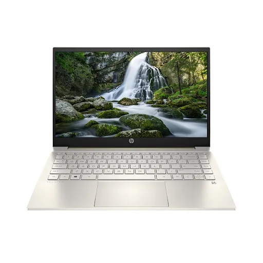 Laptop HP Pavilion 14-dv0516TU (46L88PA) (i3-1125G4/ Onboard graphics/ 4GB/ 256GB/ Windows 11)