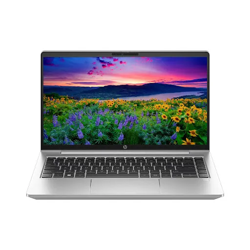 Laptop HP ProBook 445 G10 - 878T1PA (Ryzen 5 7530U/ Onboard graphics/ 8GB/ 256GB/ Windows 11)